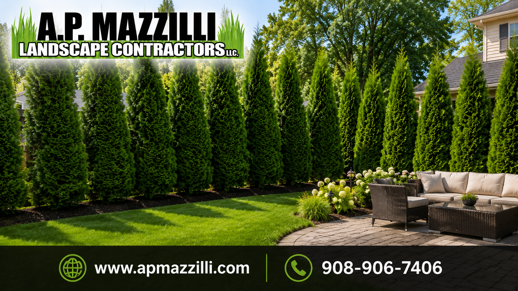 green giant trees for privacy