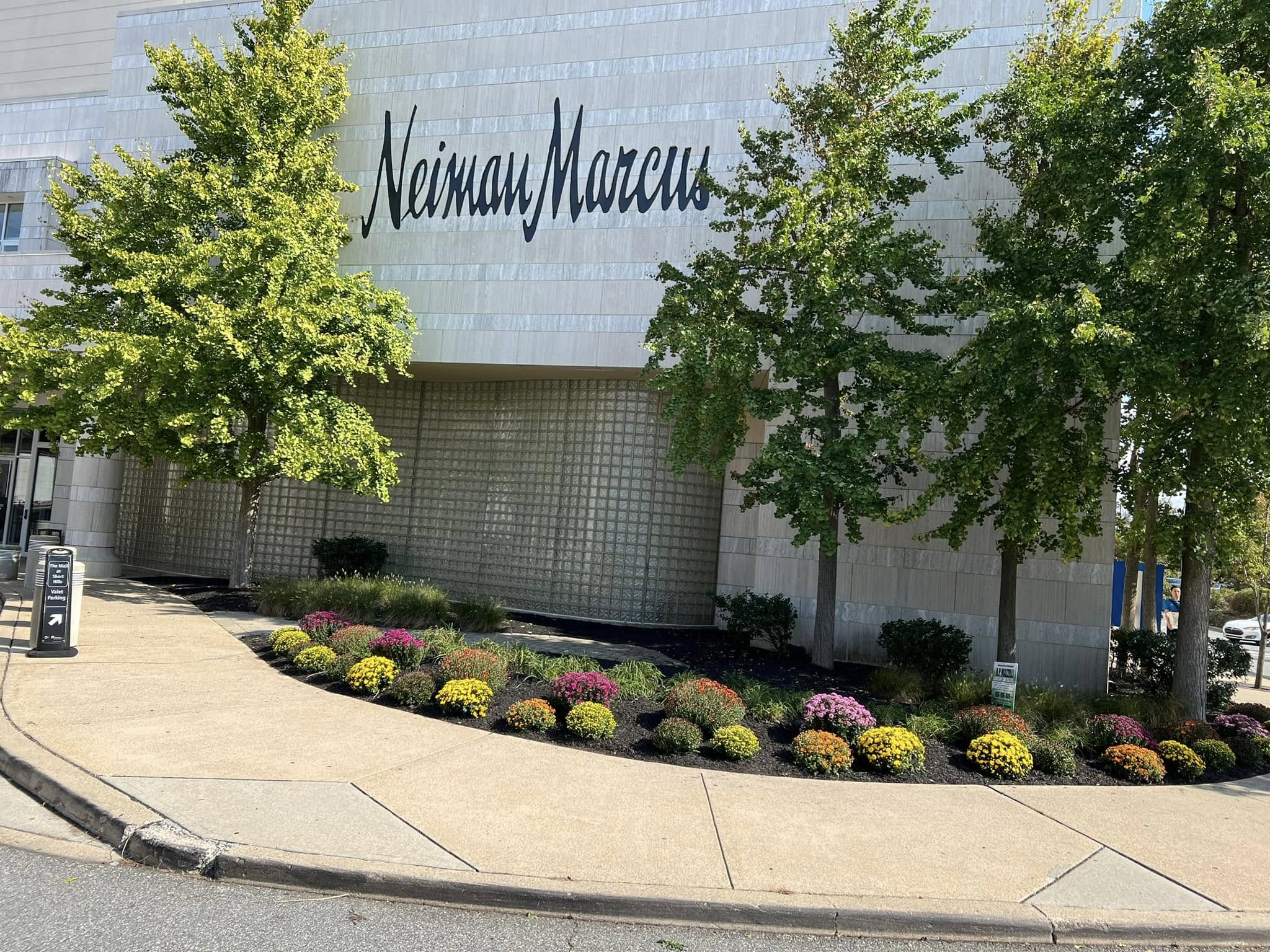 ap-mazzilli-landscaper-in-Westfield